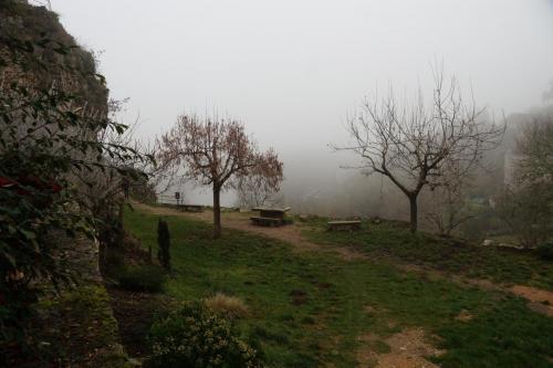 20_Сен сирк Лапопи_067.JPG