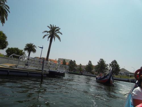 SDC11381.JPG