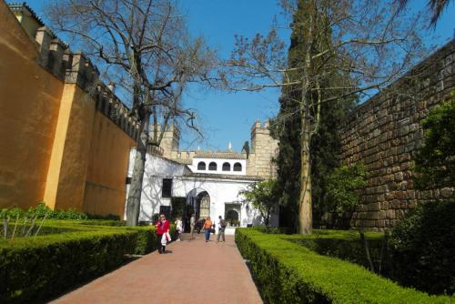 SDC10353.JPG