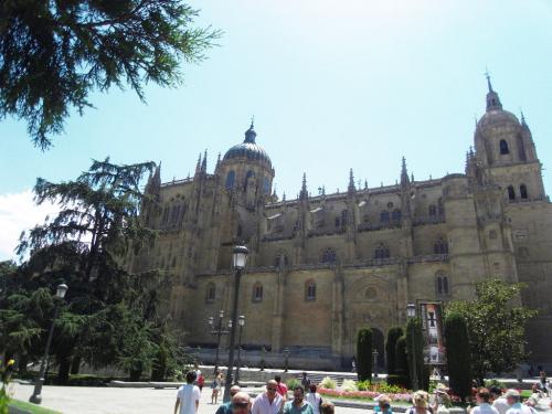 SDC11855.JPG