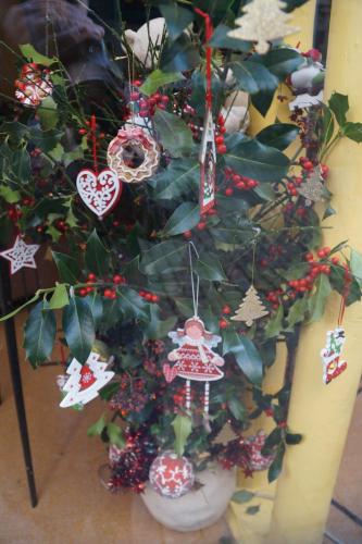 14_Ле- Пюи-ан-Веле_004.JPG