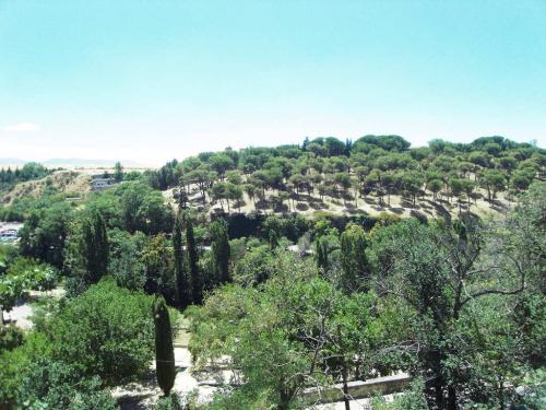 SDC12051.JPG