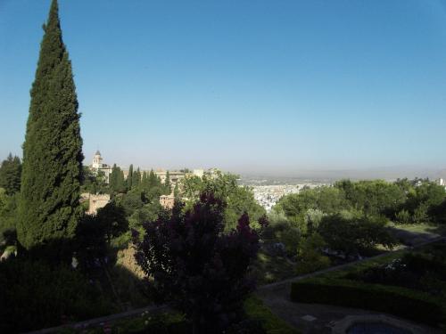 SDC10269.JPG