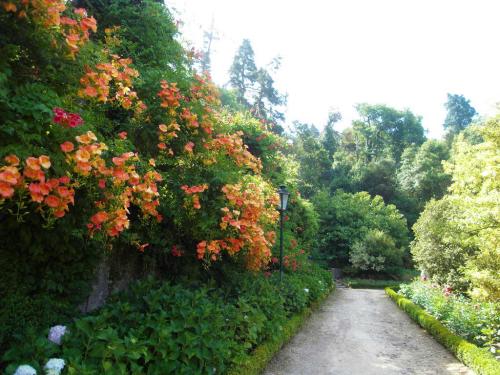 SDC11331.JPG