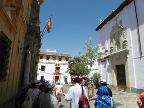 SDC10451.JPG