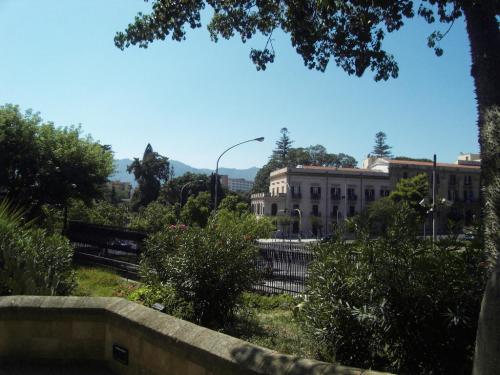 SDC11347.JPG