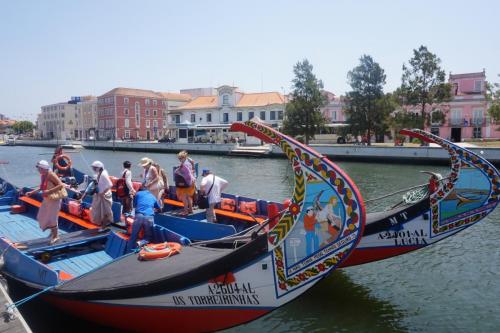 DSC05130 - копия.JPG