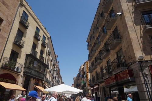 DSC05554.JPG
