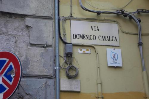 SDC12534.JPG