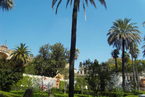 SDC10382.JPG