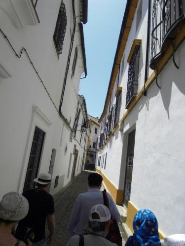 SDC10403.JPG