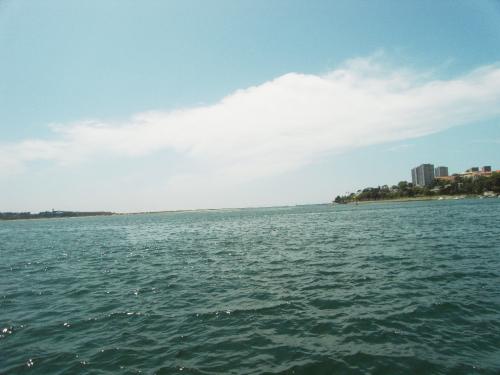 SDC11755.JPG