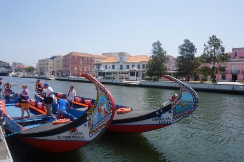 DSC05131 - копия.JPG