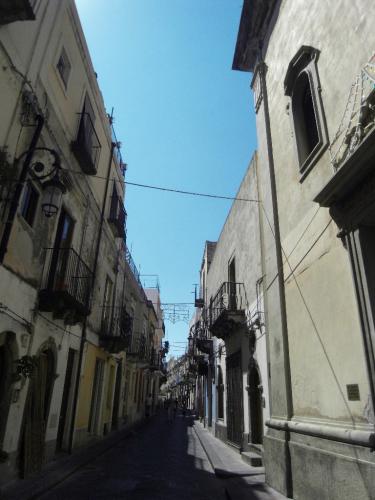 SDC11201.JPG