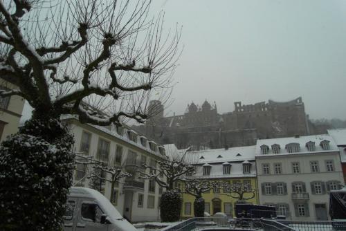 SDC13513.JPG