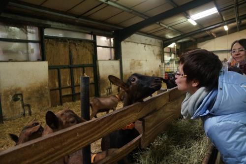 17_Козья ферма_011.JPG