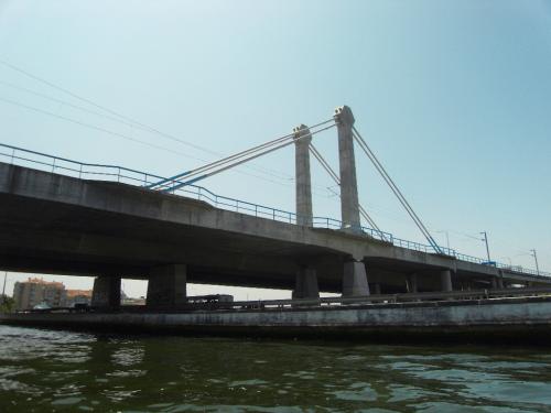 SDC11404.JPG