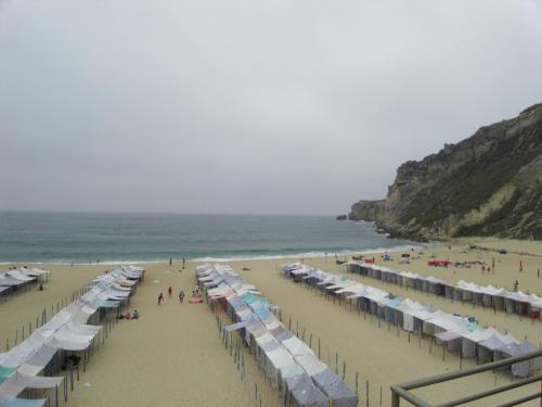 SDC11086.JPG