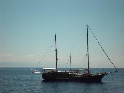 SDC11305.JPG