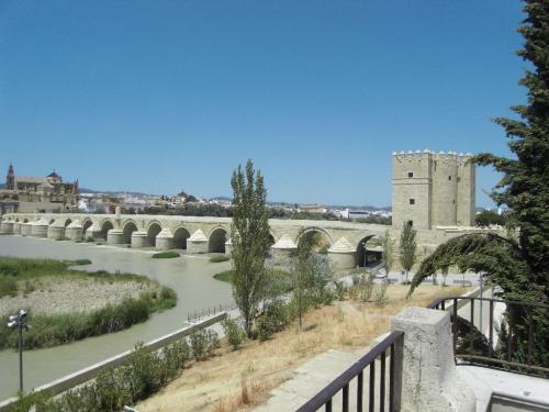SDC10391.JPG