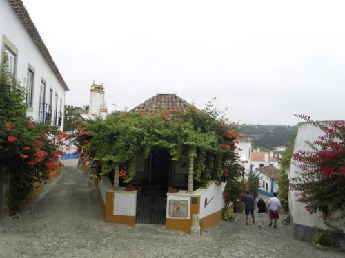 SDC11051.JPG