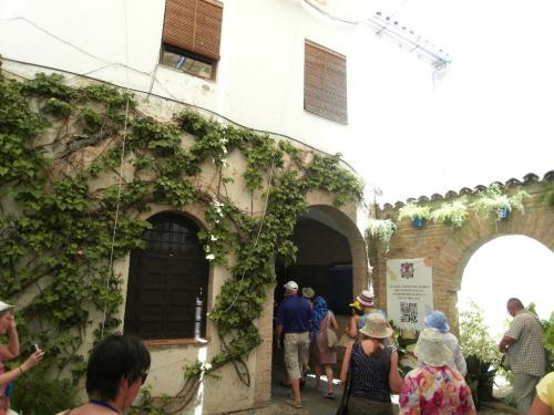 SDC10441.JPG