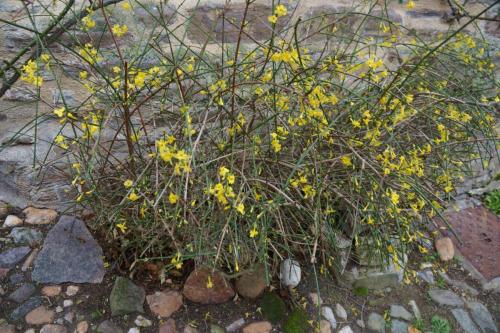 21_Корд Сюр Сьер_023.JPG