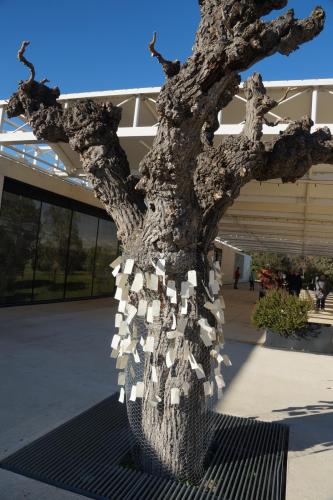 24_Пон дю Гар_002.JPG