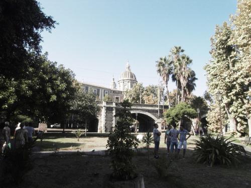 SDC11511.JPG