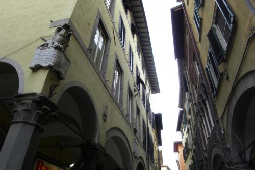 SDC12508.JPG
