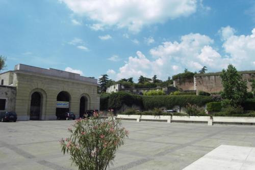 SDC12084.JPG
