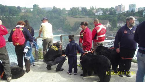 SDC10019.JPG