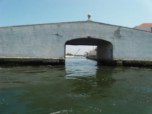 SDC11386.JPG