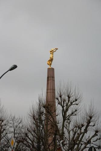 IMG_9455.JPG