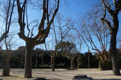 24_Пон дю Гар_012.JPG