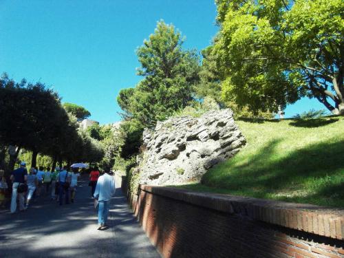 SDC10195.JPG