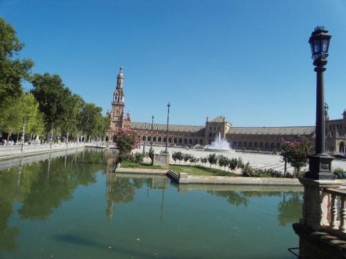 SDC10593.JPG
