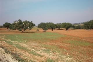 SDC10684.JPG