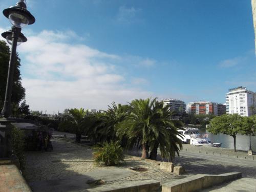 SDC10523.JPG