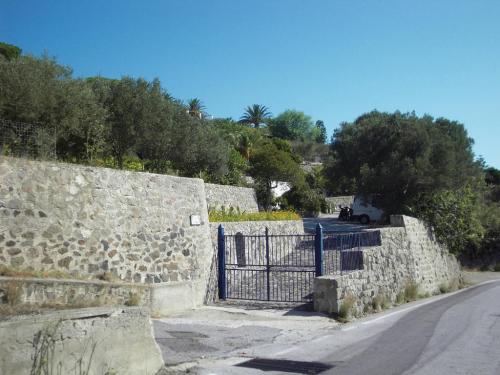 SDC11167.JPG