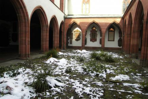 SDC13990.JPG