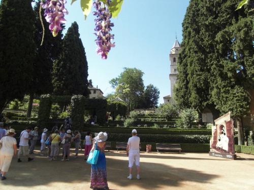 SDC10380.JPG