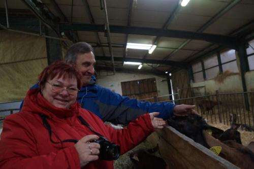 17_Козья ферма_013.JPG