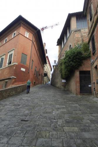 SDC12678.JPG