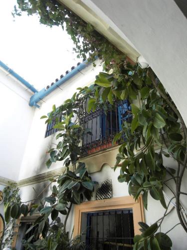 SDC10488.JPG
