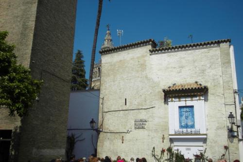 SDC10341.JPG