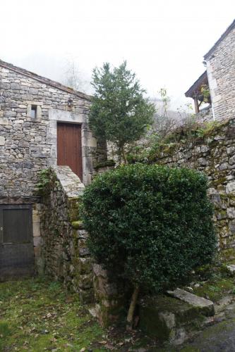 20_Сен сирк Лапопи_086.JPG