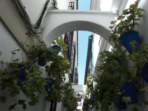 SDC10470.JPG