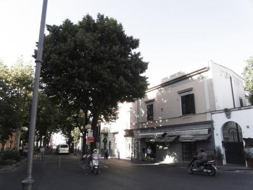 SDC10444.JPG