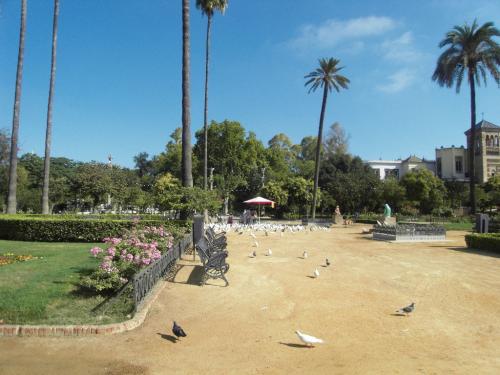 SDC10531.JPG